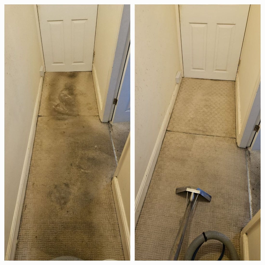 Hallway carpet before and after deep clean